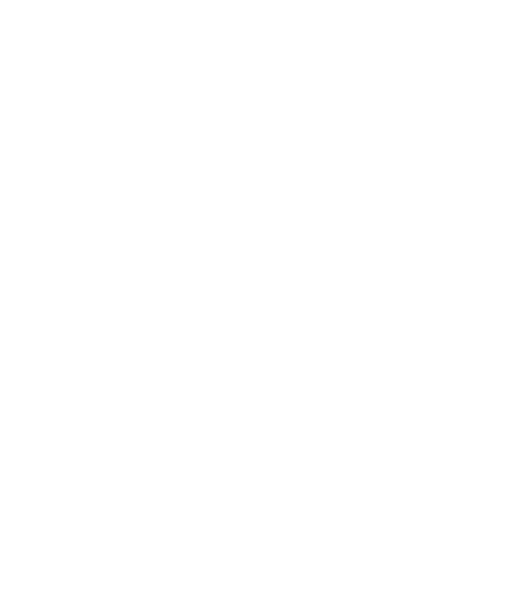 LEAP HR icon wo